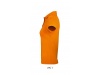 Plo polialgodo para Senhora CORES PRIME WOMEN