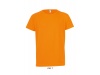 T-SHIRT COM MANGA RAGL PARA CRIANA CORES SPORTY KIDS