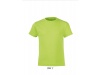 Camiseta criana manga curta gola redonda Cores REGENT FIT KIDS