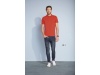 POLO HOMEM CORES PHOENIX MEN