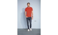 POLO HOMEM CORES PHOENIX MEN