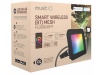 FOCO DO PROJETOR DE BLUETOOTH MESH COM LUZ EXTERIOR LED MULTICOLOR (compatvel com Google Home e Amazon Alexa)