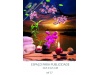 Calendrios de Parede 2021 Srie 25 FLORES
