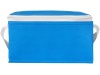 Saco trmico para 6 latas Spectrum