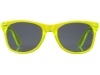 culos de sol transparentes Sun Ray