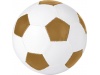 Bola de Futebol Curve