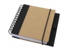 Caderno Evolution