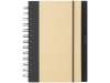 Caderno Evolution
