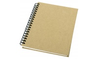Caderno Mendel