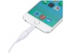 Adaptador MFI Lightning