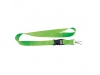 Lanyard