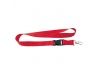 Lanyard