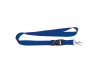 Lanyard