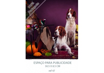 Calendrios de Parede 2021 Srie 25 CAA / PESCA