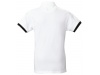 Polo Anderson 240gr/m2 Homem