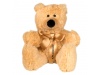 MASCOTE DO URSO TIE ETIQ LACE