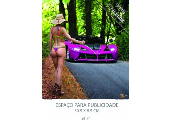 Calendrios de Parede 2021 srie 25 Veculos