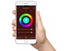 LMPADA WIFI A60 COM LUZ LED MULTICOLOR (compatvel com Google Home e Amazon Alexa)