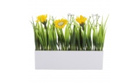 Planta decorativa