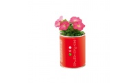 Lata/Vaso Personalizavel com Sementes de Petnia FLOWCAN