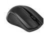 RATO WIRELESS ACCESS