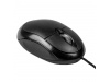 RATO BACKUP