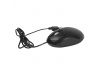 RATO BACKUP