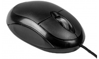 RATO BACKUP