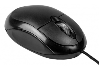RATO BACKUP