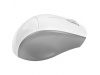 RATO WIRELESS SLIP