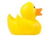 PATINHO DE Borracha DUCK