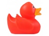 PATINHO DE Borracha DUCK
