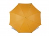 Chapu de chuva
