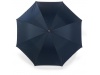 Chapu de chuva