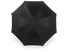 Chapu de chuva