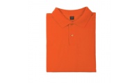 Polo Homem Bartel Cor