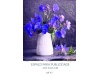 Calendrios de Parede 2021 Srie 25 FLORES