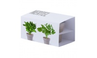 SET VASO NERTEL