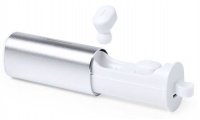 AURICULAR FLISTER