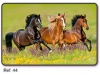 Calendrio de Bolso 2021 Animais