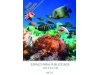 Calendrios de Parede 2021 srie 25 ANIMAIS