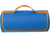 Manta polar para picnic