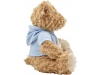 Urso de pelcia com capuz