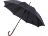 Guarda-chuva de polister RPET (170T)