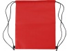 Saco isotrmico de polister (210D)