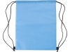 Saco isotrmico de polister (210D)