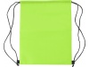 Saco isotrmico de polister (210D)