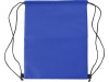 Saco isotrmico de polister (210D)