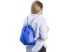 Saco isotrmico de polister (210D)