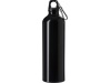 Garrafa de alumnio (750 ml)